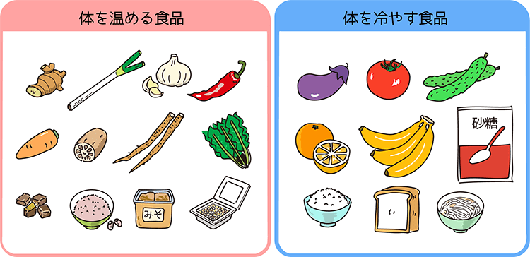 イラスト左：体を温める食品、イラスト右：体を冷やす食品