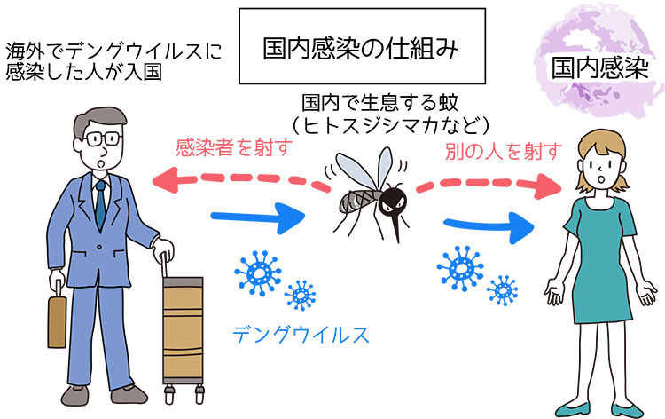 国内感染の仕組みのイラスト