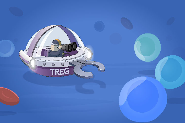 図:Tレグのイメージ