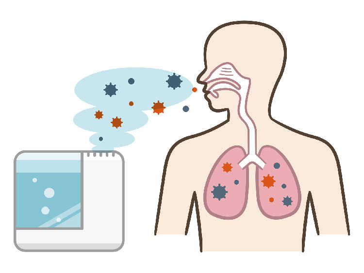 図：加湿器内で増殖した細菌やカビを吸い込む