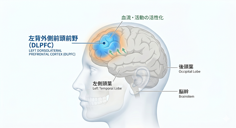 DLPFC