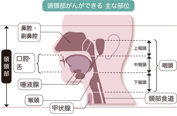図
