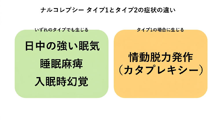 図:ナルコレプシー タイプ1とタイプ2の症状の違い(情動脱力発作はタイプ1のみに生じる)