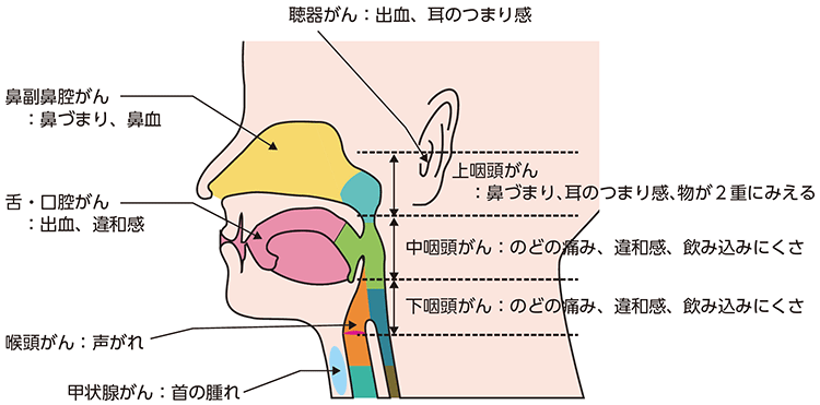 図