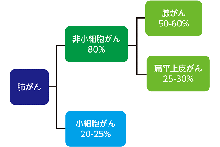 図