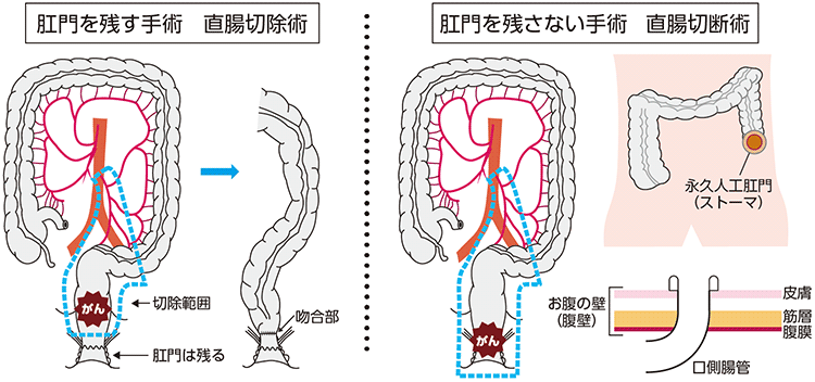 図