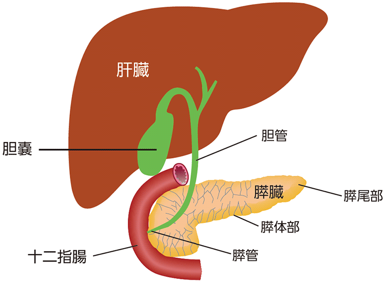 図