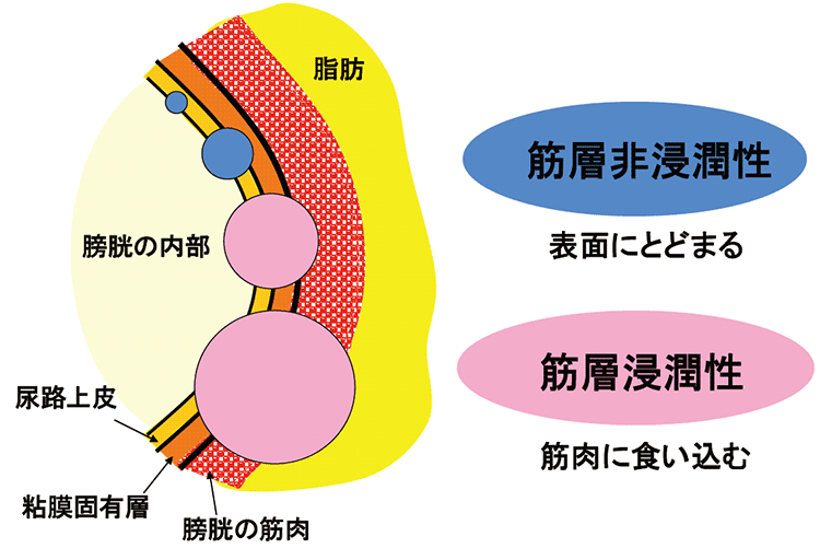 図