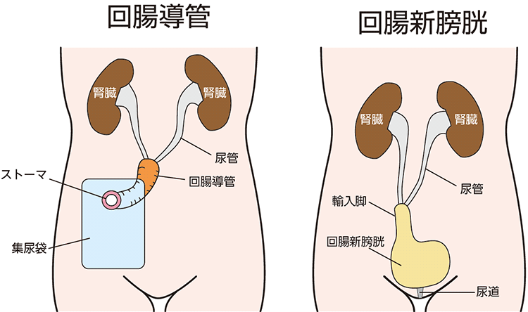 図