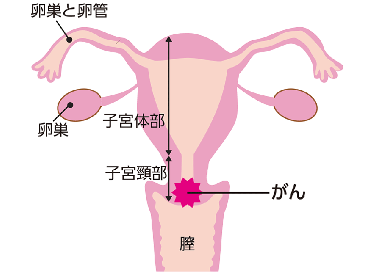 図