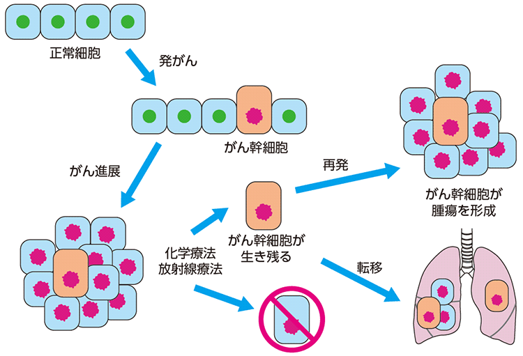 図