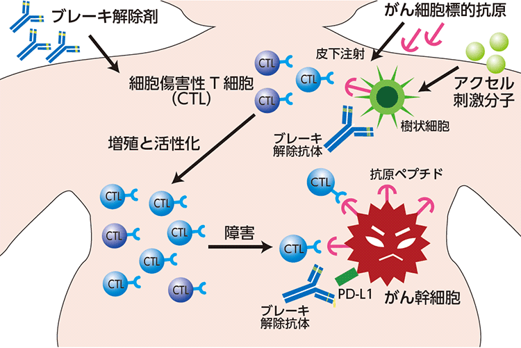 図