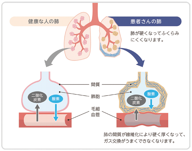 図