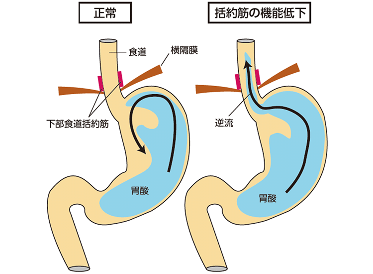 図