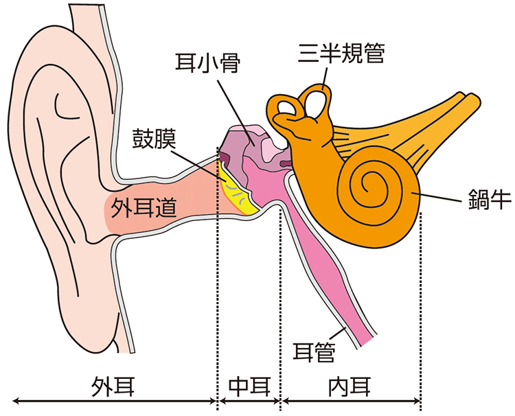 図