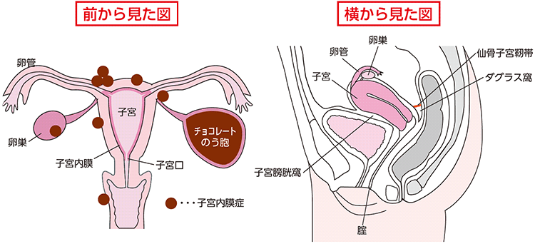 図１