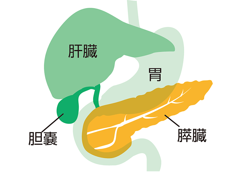 図