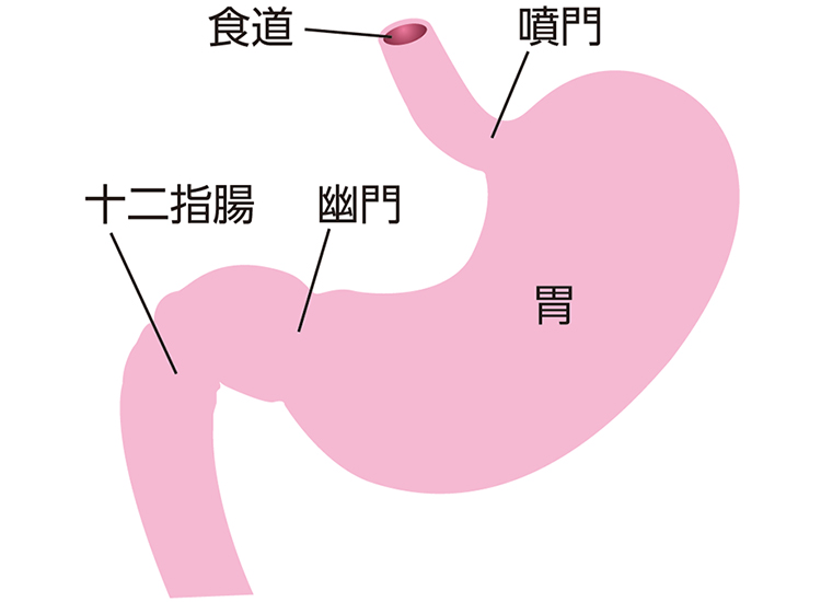 図