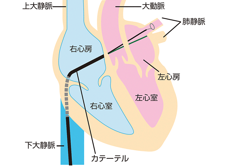 図