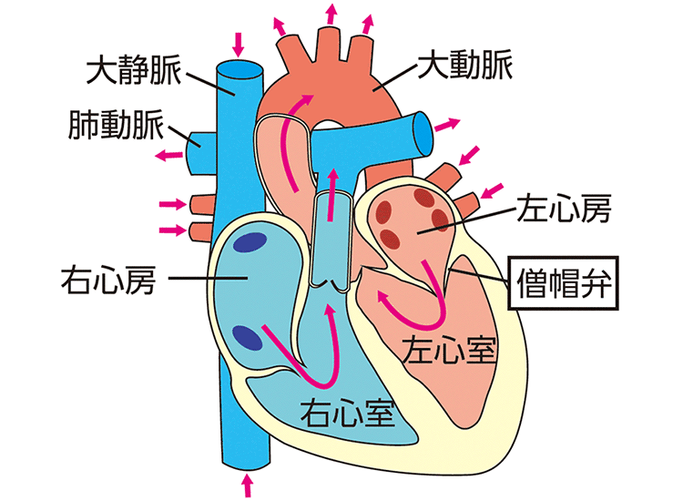 図