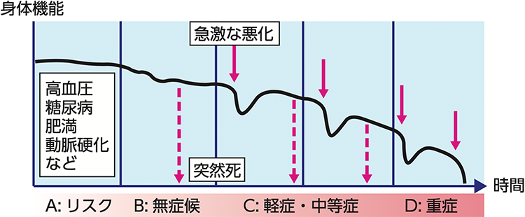 図