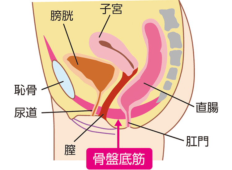 図