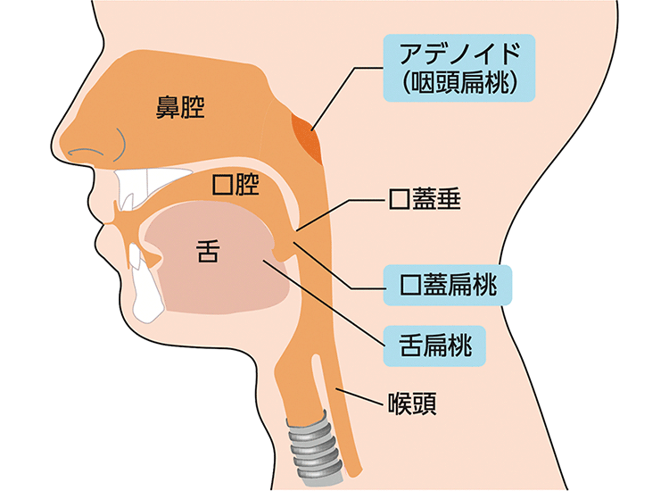 図