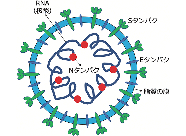 図