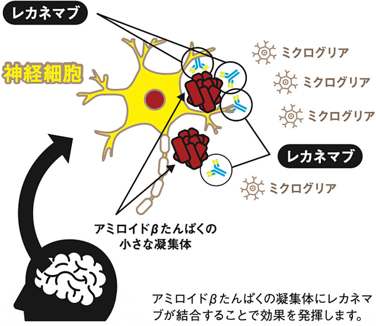図