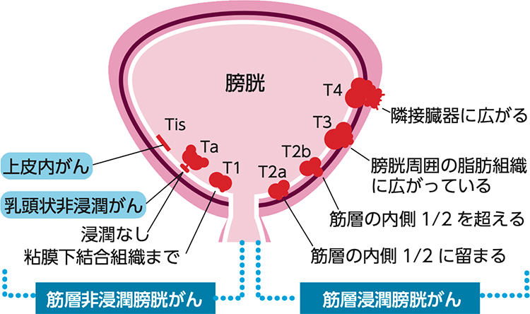 図