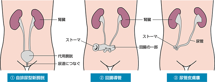 図