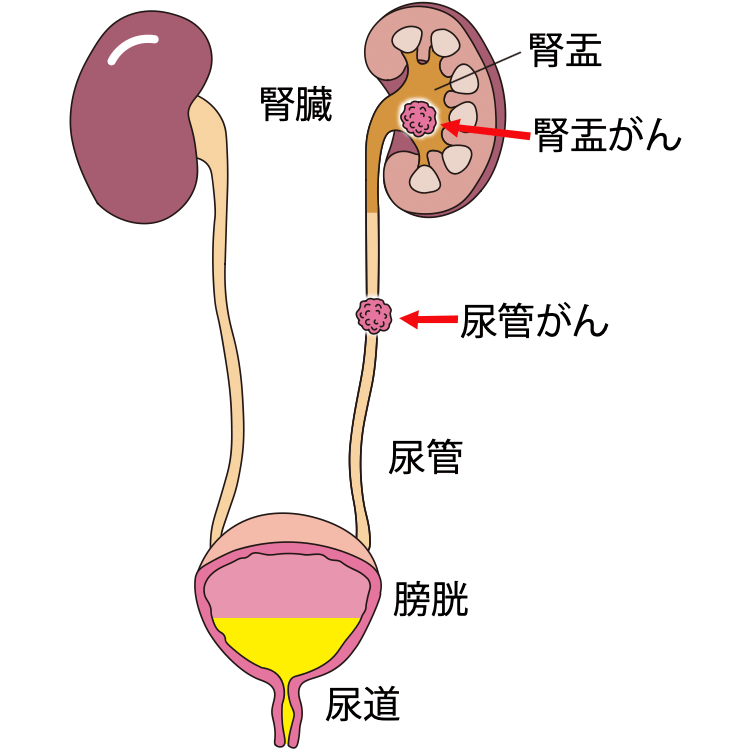 図