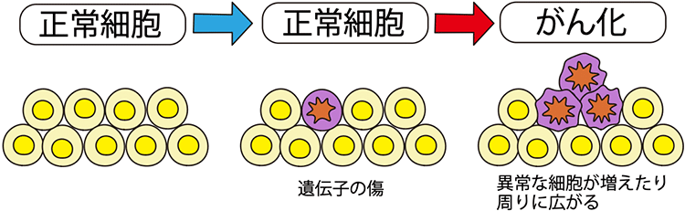 図