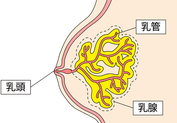 図