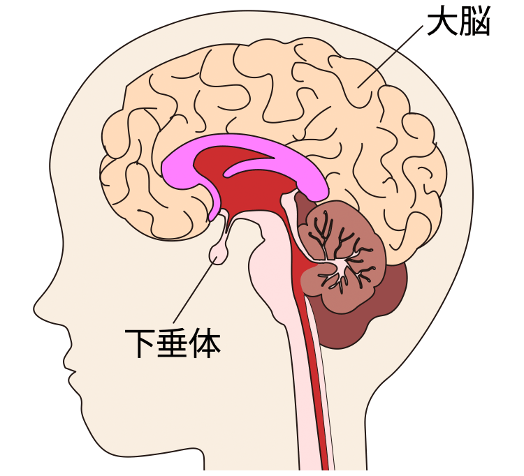 図