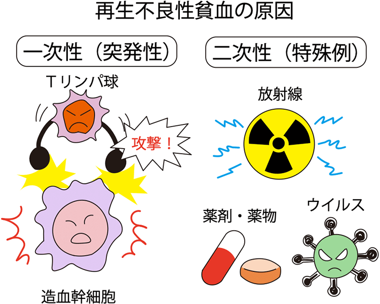 図