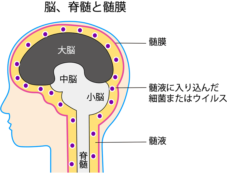 図