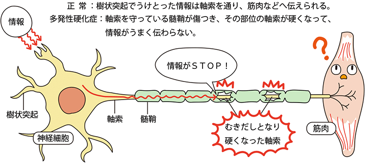 図