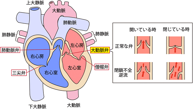 図