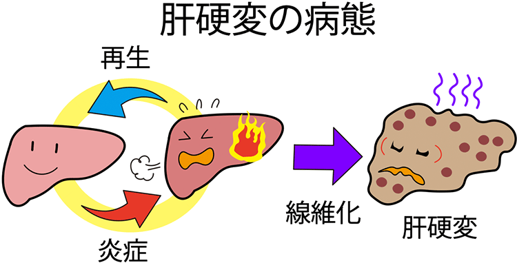図